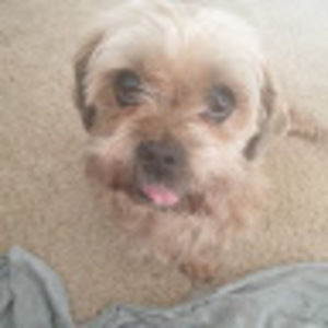 Meet your Posher, Issa